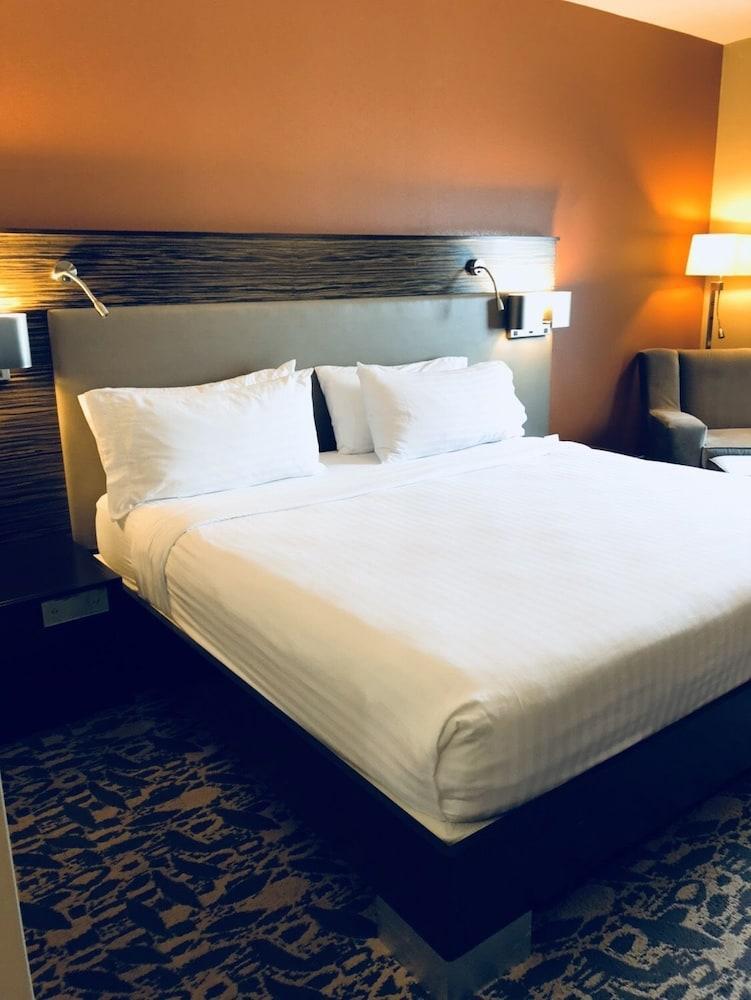 Holiday Inn Express & Suites North Dallas At Preston By Ihg מראה חיצוני תמונה